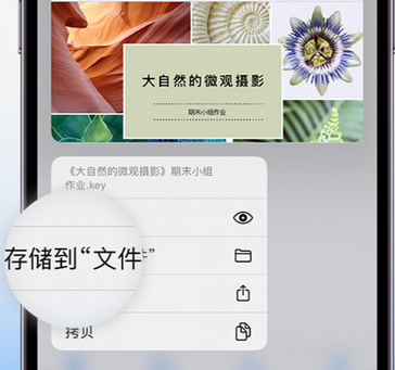 伊金霍洛apple维修中心分享iPhone文件应用中存储和找到下载文件