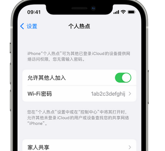 伊金霍洛apple服务站点分享iPhone上个人热点丢失了怎么办 