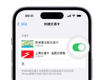 伊金霍洛apple维修点分享iPhone上更换Apple Pay快捷交通卡手绘卡面 