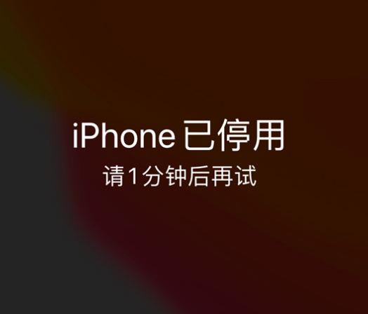 伊金霍洛苹果手机维修分享:iPhone 显示“不可用”或“已停用”怎么办？还能保留数据吗？ 