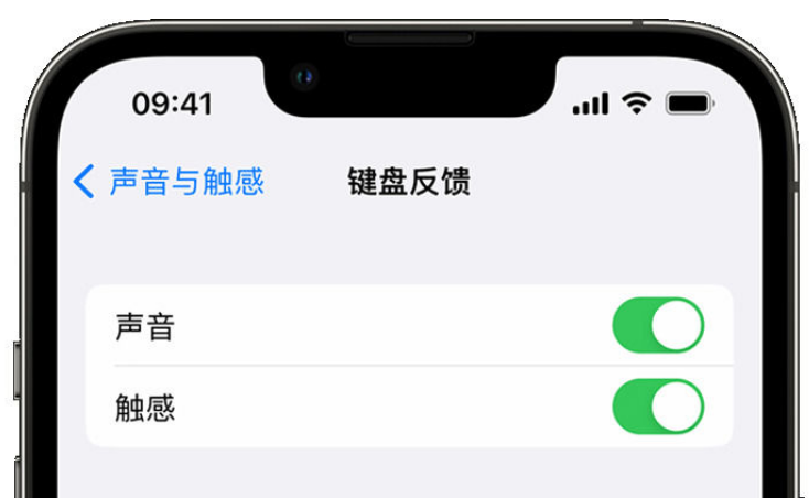 伊金霍洛苹果手机维修分享iPhone 14触感键盘使用方法 