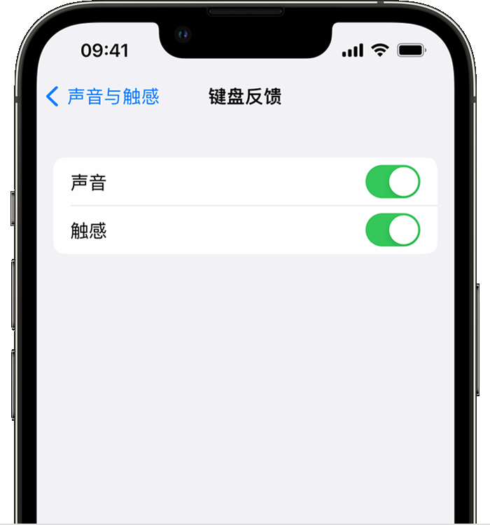 伊金霍洛苹果14维修店分享如何在 iPhone 14 机型中使用触感键盘 