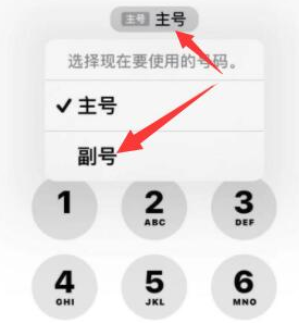 伊金霍洛苹果14维修店分享iPhone 14 Pro Max使用副卡打电话的方法 