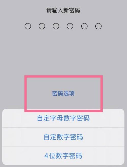 伊金霍洛苹果14维修分享iPhone 14plus设置密码的方法 