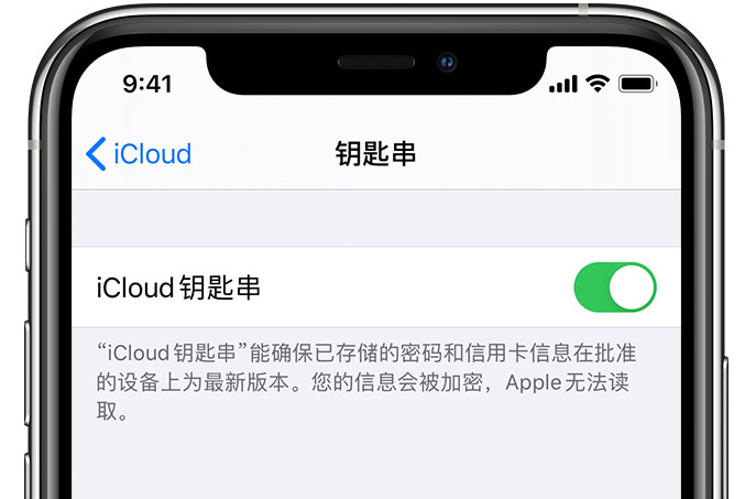 伊金霍洛苹果手机维修分享在 iPhone 上开启 iCloud 钥匙串之后会储存哪些信息 