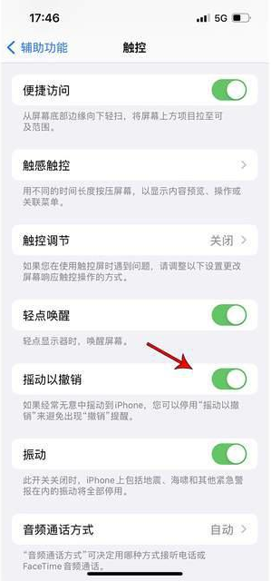 伊金霍洛苹果手机维修分享iPhone手机如何设置摇一摇删除文字 