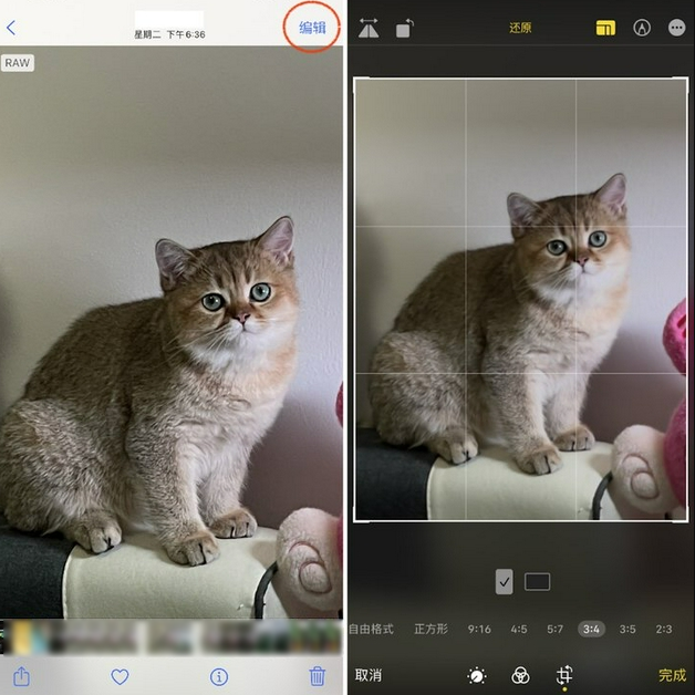 伊金霍洛苹果手机维修分享苹果 iPhone 12 Pro 拍照会过度锐化 